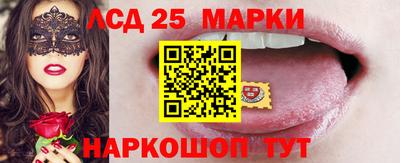 гидропоника Моздок