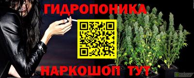 гидропоника Моздок