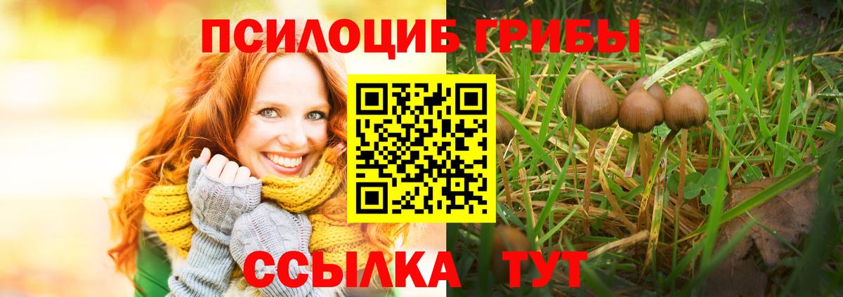 даркнет сайт  Вход с VPN  Топки  Галлюциногенные грибы Magic Shrooms 