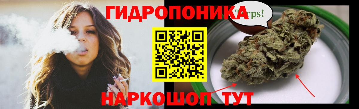 МАРИХУАНА сатива Топки